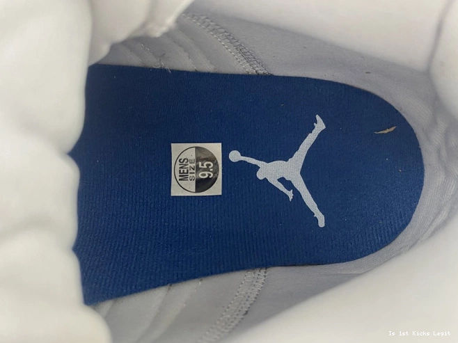 Air Blue French 13 Jordan 414571-164 0525